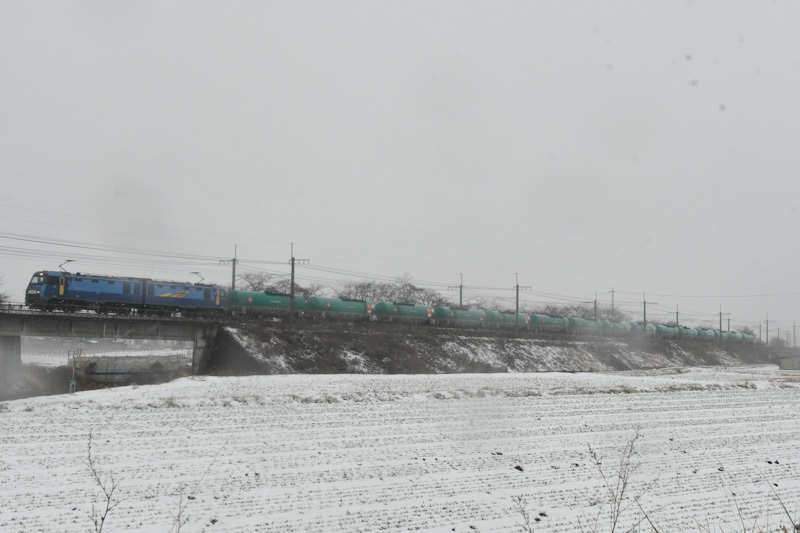 2024年1月20日撮影　東線貨物2084ﾚ　雪が降る中を行くEH200-14号機