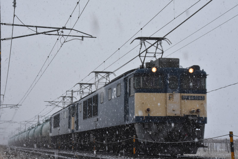 2024年1月20日撮影　西線貨物8084ﾚ　EF64原色　ストレート1　雪が降る中2