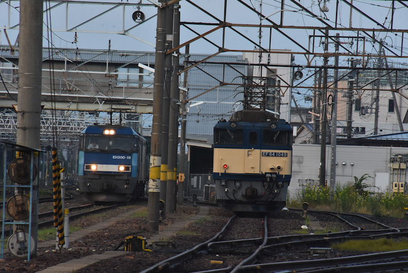 2023年7月29日撮影　南松本にて　篠ノ井線5463ﾚ　EH200-19号機　EF64-1049号機との並び