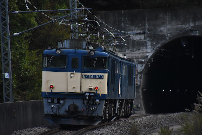 2023年10月15日撮影　篠ノ井線8087ﾚ　EF64重連　後撃ち　トンネルへと