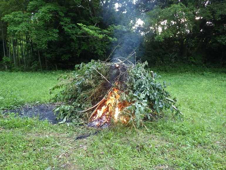 昨日の木や竹を燃やす