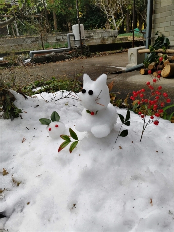 カミさんが作った雪猫と雪ウサギ-1