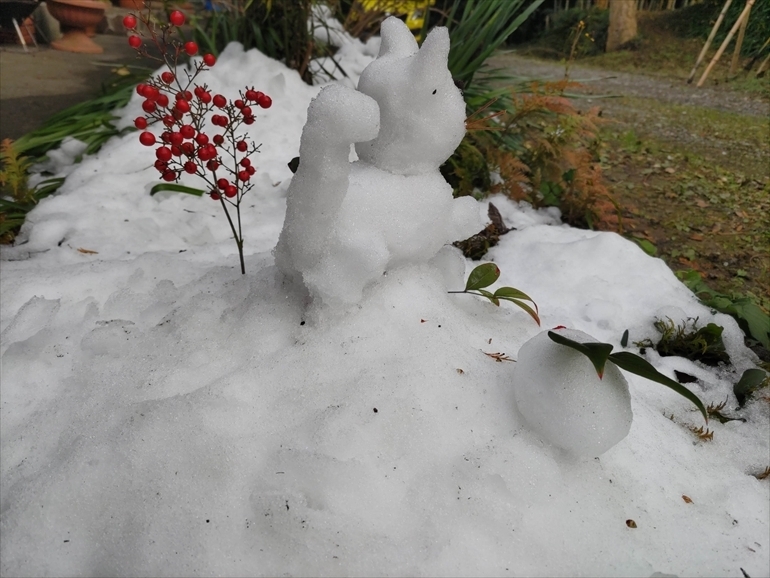 カミさんが作った雪猫と雪ウサギ-2
