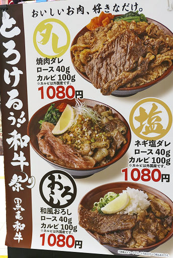 カルビ焼肉丼 (3)