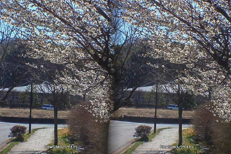2023_0227_X5_3D_0107.jpg
