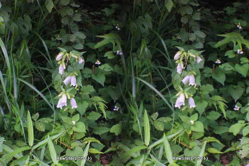 2023_0610_X5_3D_0074.jpg