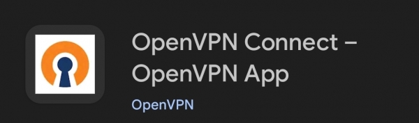VPN4-crop.jpg