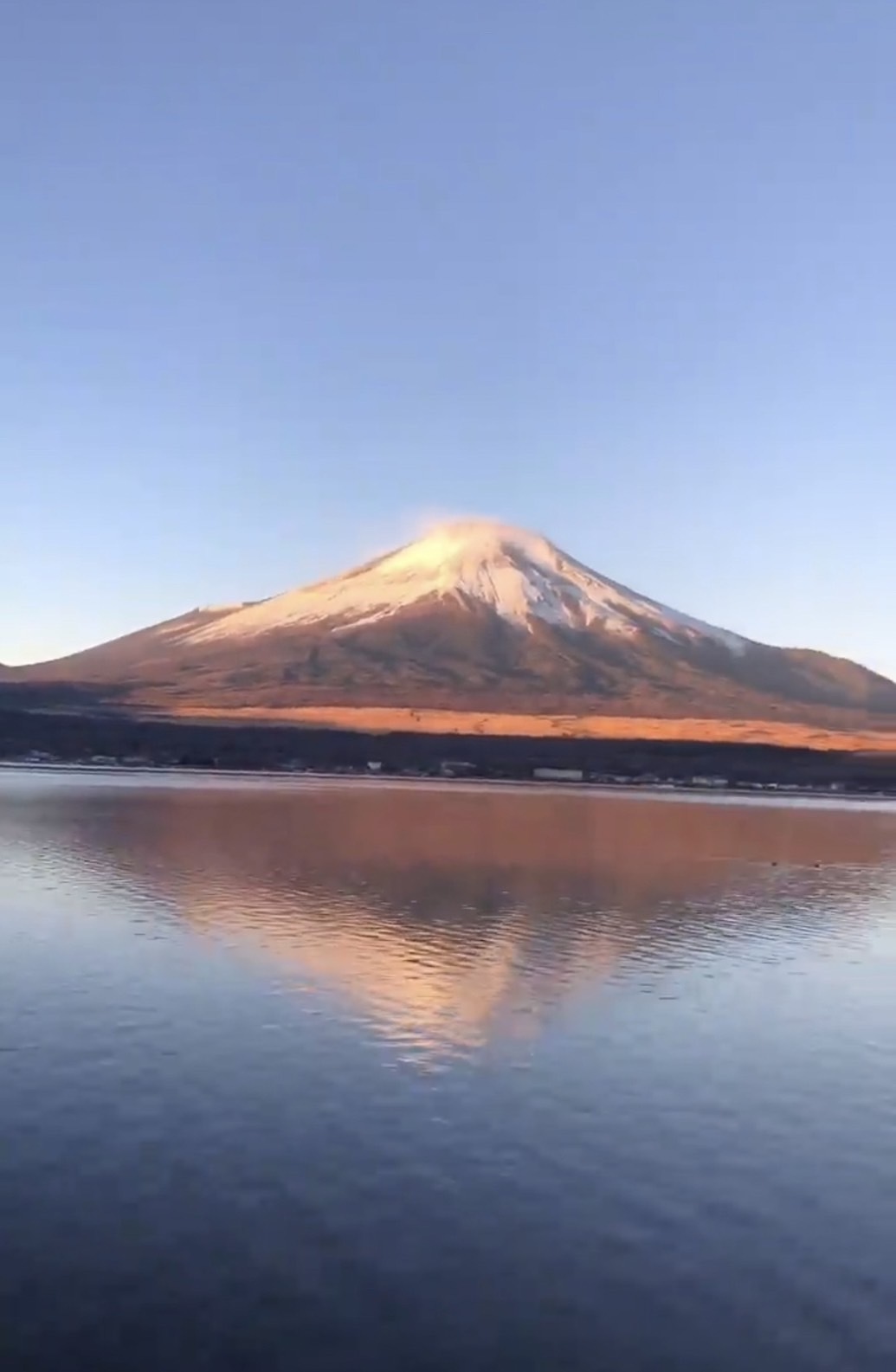 富士山を見に！🗻