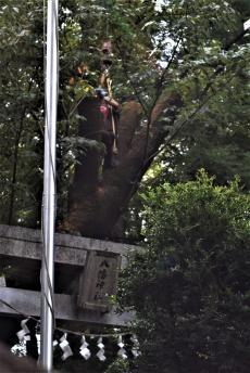 DSC_0184_convert_20230915175153.jpg
