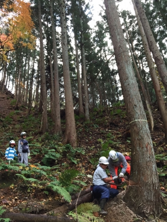 栗駒山で自分で選んだ木を切る家族