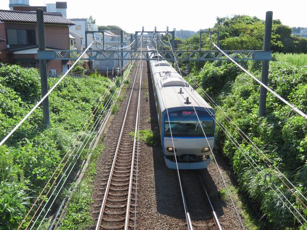 相鉄線の上を跨ぐ西川島橋から鶴ヶ峰駅方向を見る。9月以降は右側の森林を切り崩して工事ヤード②へ繋がる仮設道路を造成中。