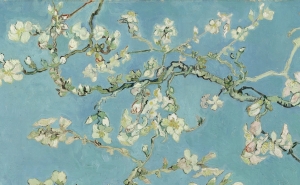 Vincent_van_Gogh_-_Almond_blossom_-_Google_Art_Project.jpg