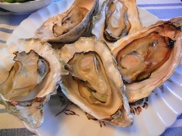 blog (4x5@300) Yoko CP3P Dinner, Roasted Green Onion, Salmon, BBQed Oysters, Mendocino_DSCN8732-5.2.18 copy 2