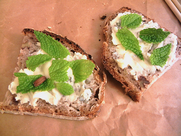 blog CP3 Dinner, Austrian Seed Bread with Gorgonzola Dolce & mint_DSCN8900-5.19.18 copy