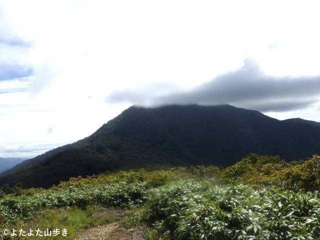 RIMG2865s_202309240059019c8.jpg